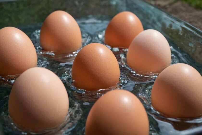 Ei noch gut testen: So erkennen Sie frische Eier richtig