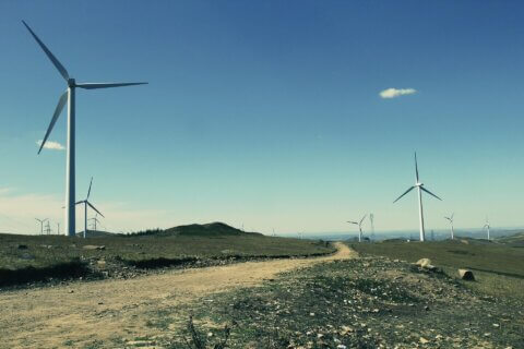 Windmühlen